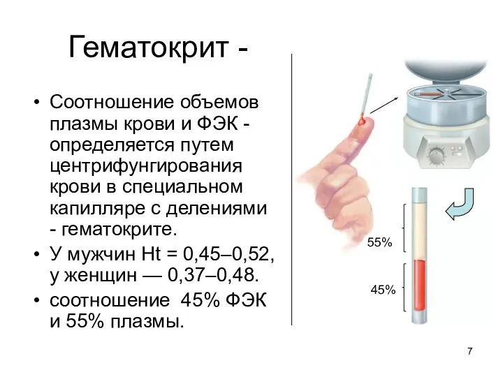 Гематокрит - Соотношение объемов плазмы крови и ФЭК - определяется