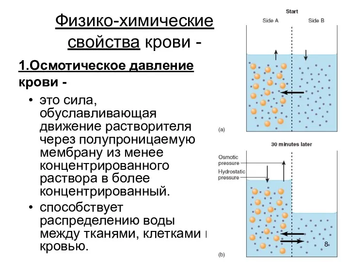 1.Осмотическое давление крови - это сила, обуславливающая движение растворителя через