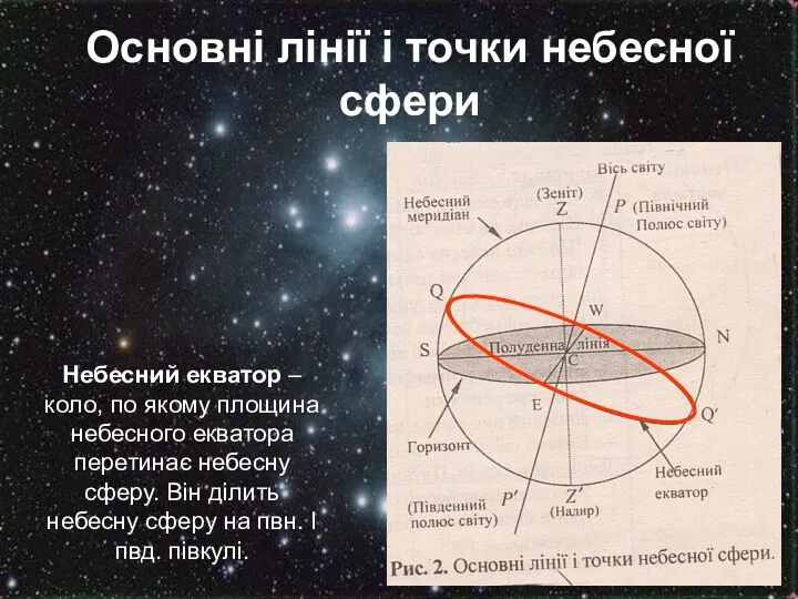 Основні лінії і точки небесної сфери Небесний екватор – коло,