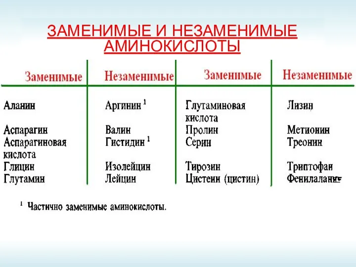 ЗАМЕНИМЫЕ И НЕЗАМЕНИМЫЕ АМИНОКИСЛОТЫ