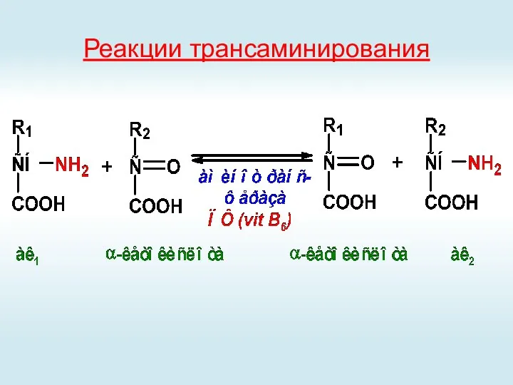 Реакции трансаминирования