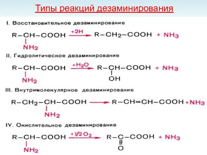 Типы реакций дезаминирования