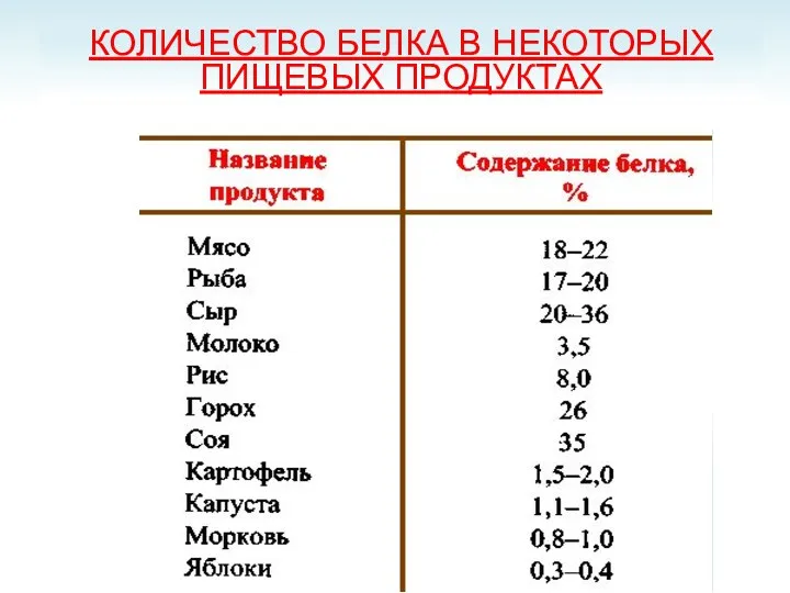 КОЛИЧЕСТВО БЕЛКА В НЕКОТОРЫХ ПИЩЕВЫХ ПРОДУКТАХ