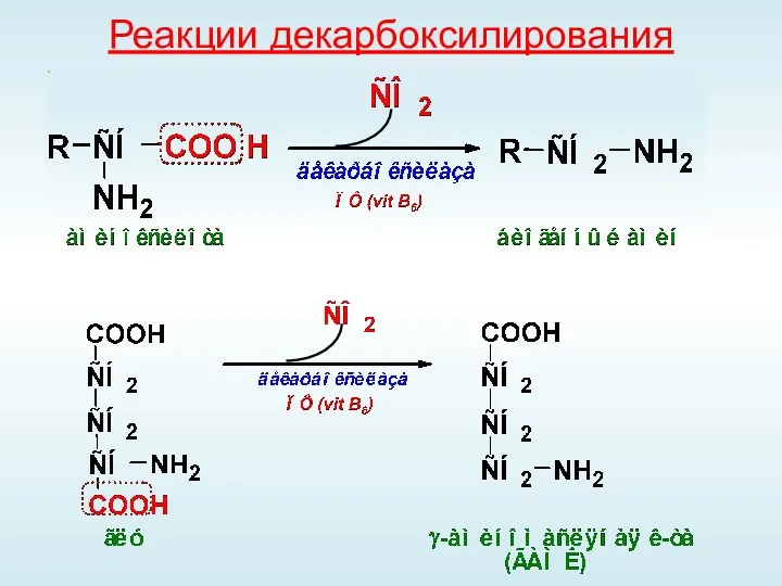 Реакции декарбоксилирования