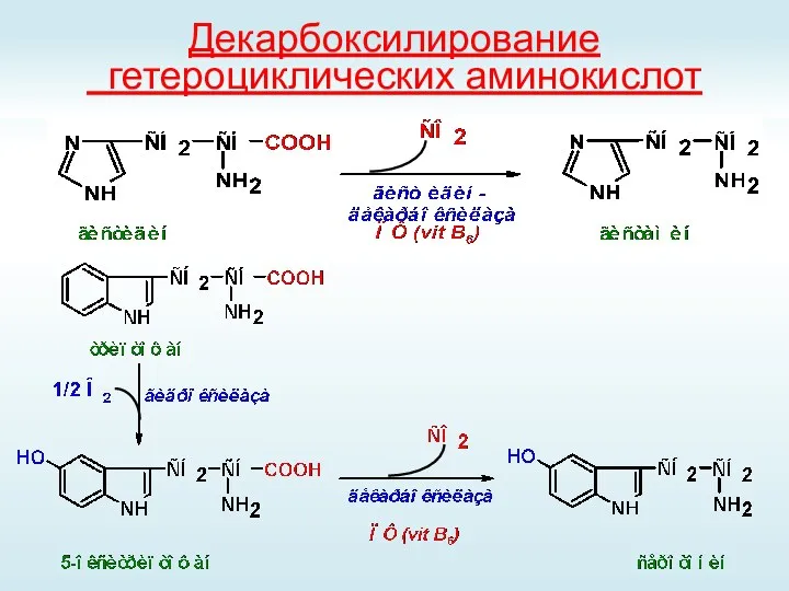 Декарбоксилирование гетероциклических аминокислот