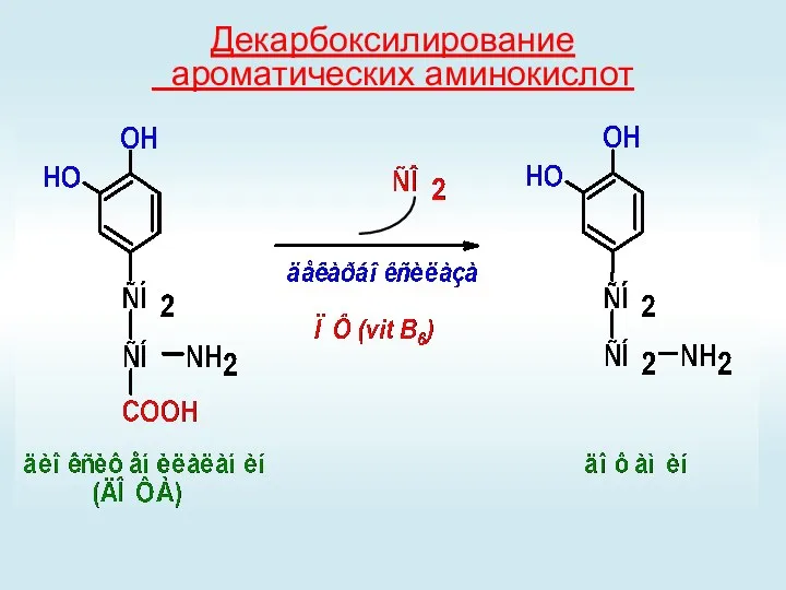 Декарбоксилирование ароматических аминокислот