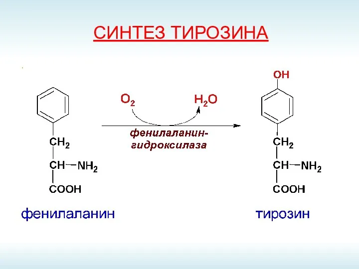 СИНТЕЗ ТИРОЗИНА