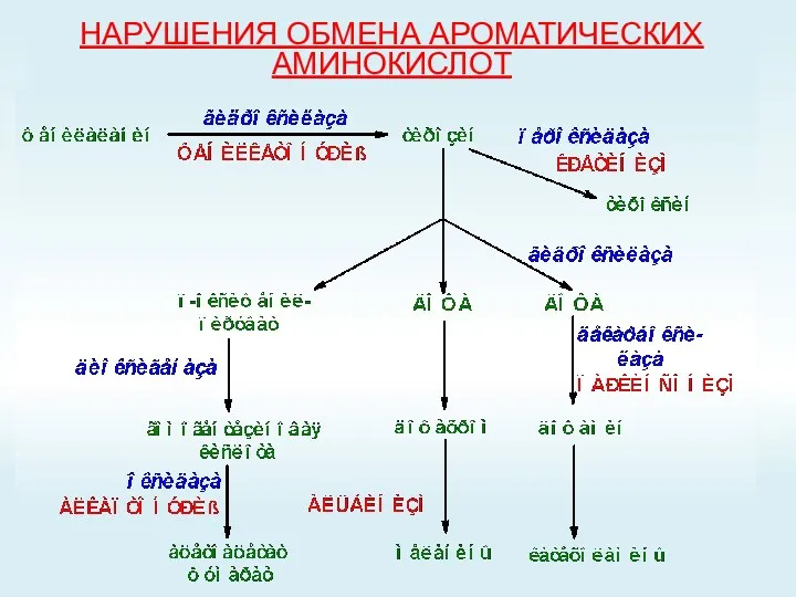 НАРУШЕНИЯ ОБМЕНА АРОМАТИЧЕСКИХ АМИНОКИСЛОТ