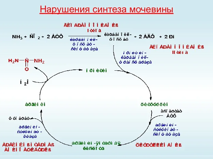 Нарушения синтеза мочевины