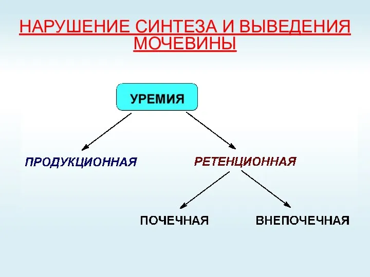 НАРУШЕНИЕ СИНТЕЗА И ВЫВЕДЕНИЯ МОЧЕВИНЫ