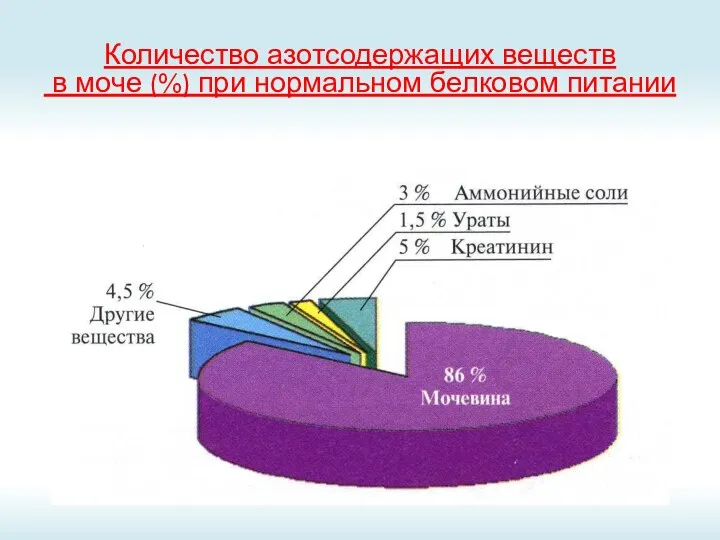 Количество азотсодержащих веществ в моче (%) при нормальном белковом питании