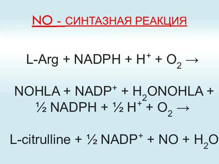 NO - СИНТАЗНАЯ РЕАКЦИЯ L-Arg + NADPH + H+ +