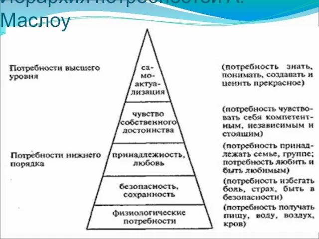 Иерархия потребностей А. Маслоу