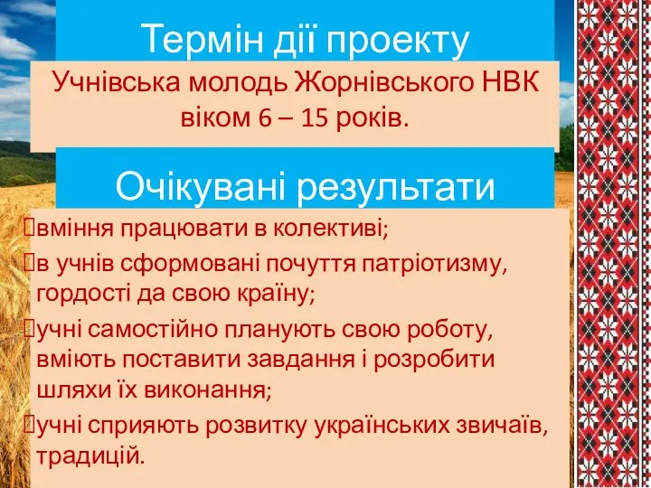 Термін дії проекту Учнівська молодь Жорнівського НВК віком 6 –