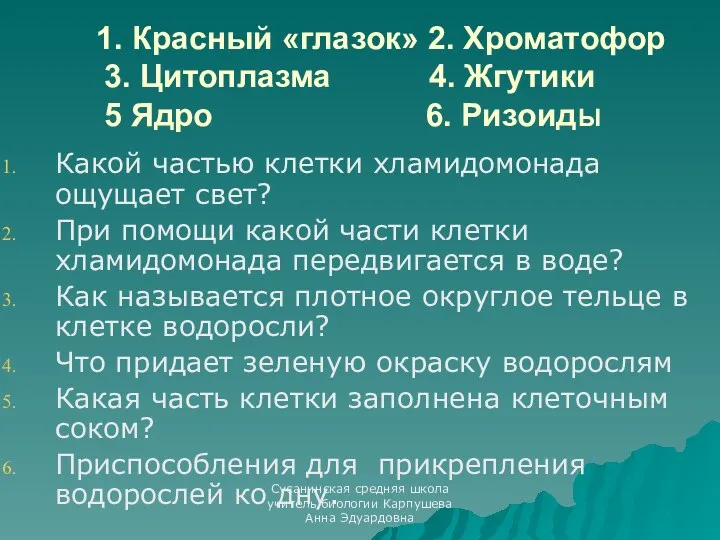 1. Красный «глазок» 2. Хроматофор 3. Цитоплазма 4. Жгутики 5 Ядро 6. РизоидЫ