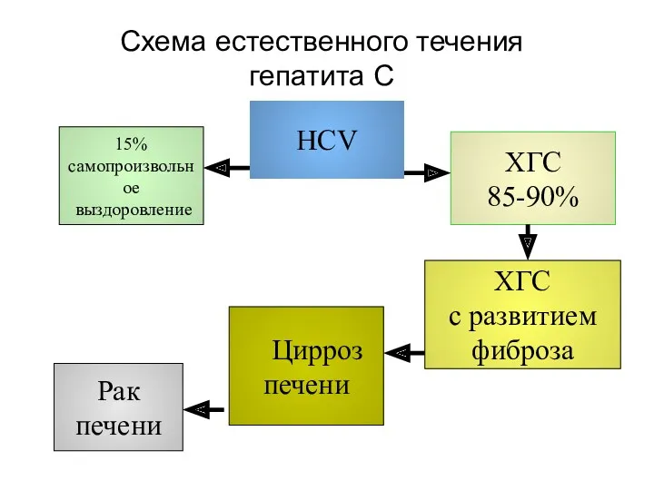 Схема естественного течения гепатита С HCV 15% самопроизвольное выздоровление ХГС 85-90% ХГС с