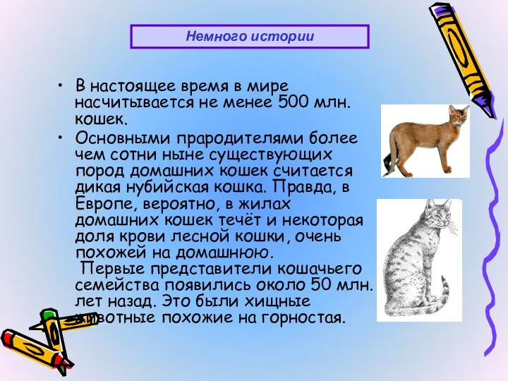 В настоящее время в мире насчитывается не менее 500 млн.