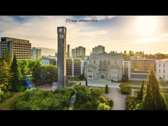 (7) top universities