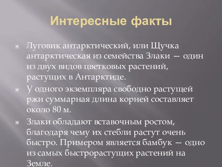 Интересные факты Луговик антарктический, или Щучка антарктическая из семейства Злаки — один из