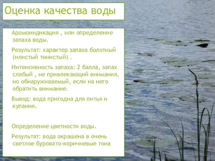 Оценка качества воды 1. Аромоиндикация , или определение запаха воды.