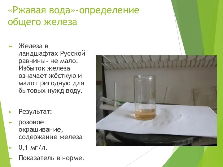 «Ржавая вода»-определение общего железа Железа в ландшафтах Русской равнины- не