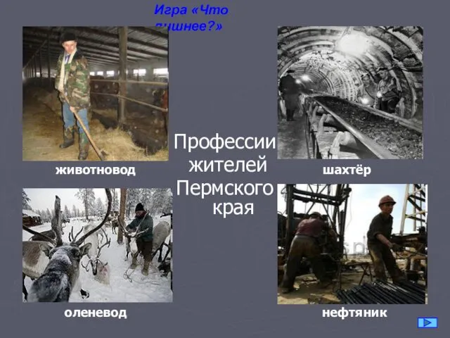 Игра «Что лишнее?» Профессии жителей Пермского края животновод шахтёр оленевод нефтяник