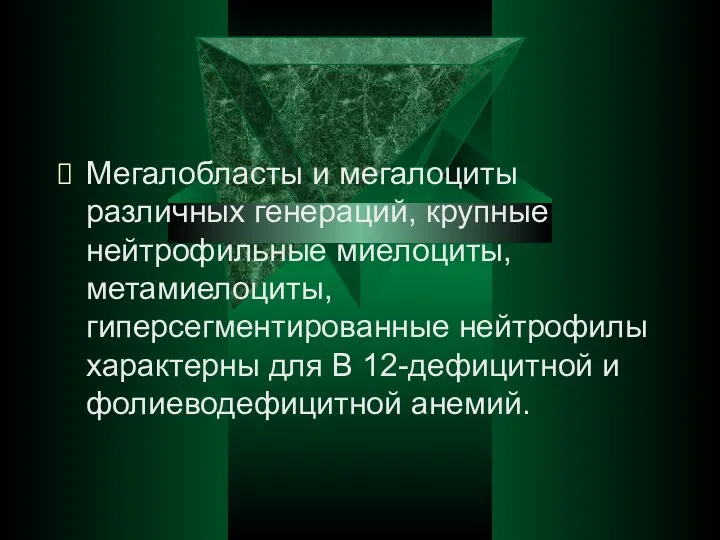 Мегалобласты и мегалоциты различных генераций, крупные нейтрофильные миелоциты, метамиелоциты, гиперсегментированные