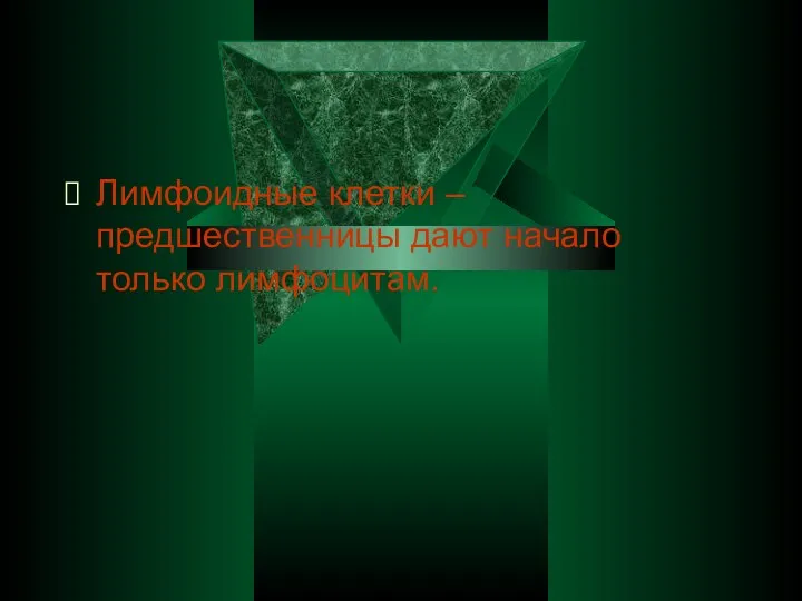 Лимфоидные клетки – предшественницы дают начало только лимфоцитам.