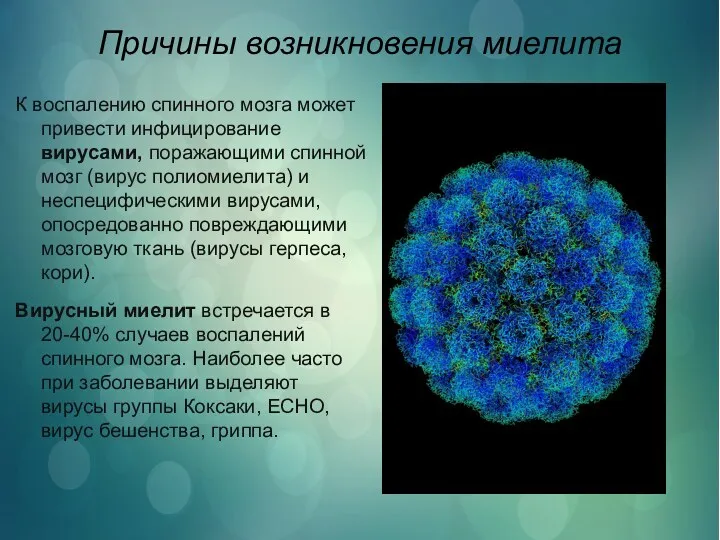 Причины возникновения миелита К воспалению спинного мозга может привести инфицирование