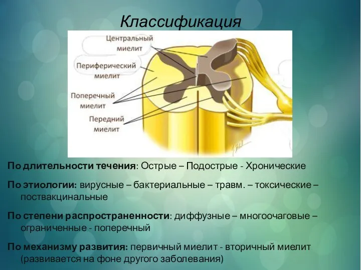 Классификация По длительности течения: Острые – Подострые - Хронические По