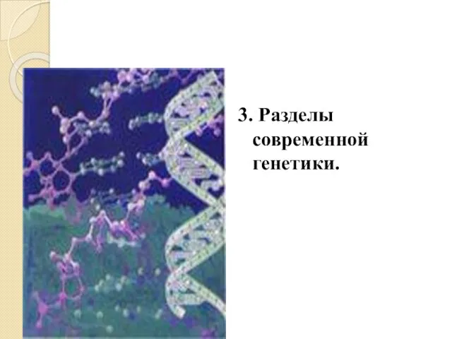 3. Разделы современной генетики.