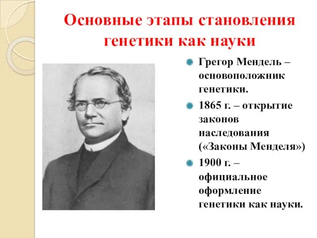 Основные этапы становления генетики как науки Грегор Мендель – основоположник генетики. 1865 г.