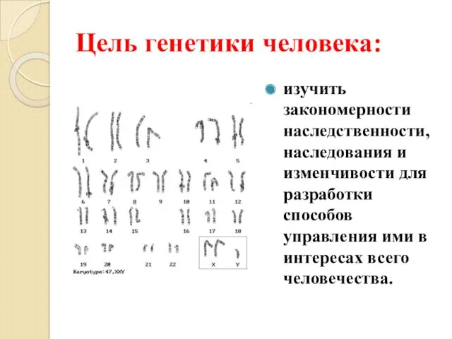 Цель генетики человека: изучить закономерности наследственности, наследования и изменчивости для