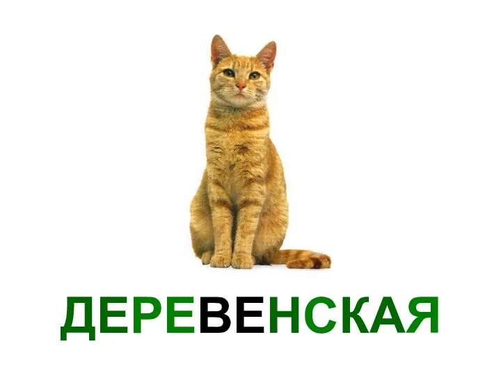 ДЕРЕВЕНСКАЯ