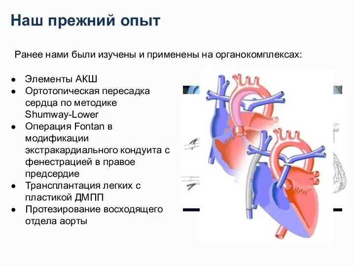 Наш прежний опыт Ранее нами были изучены и применены на