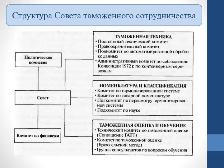 Структура Совета таможенного сотрудничества