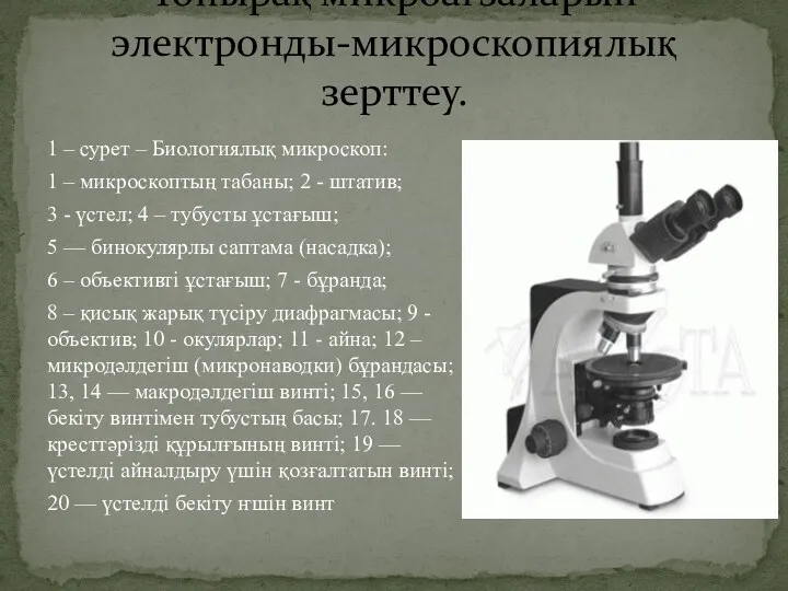 1 – сурет – Биологиялық микроскоп: 1 – микроскоптың табаны;