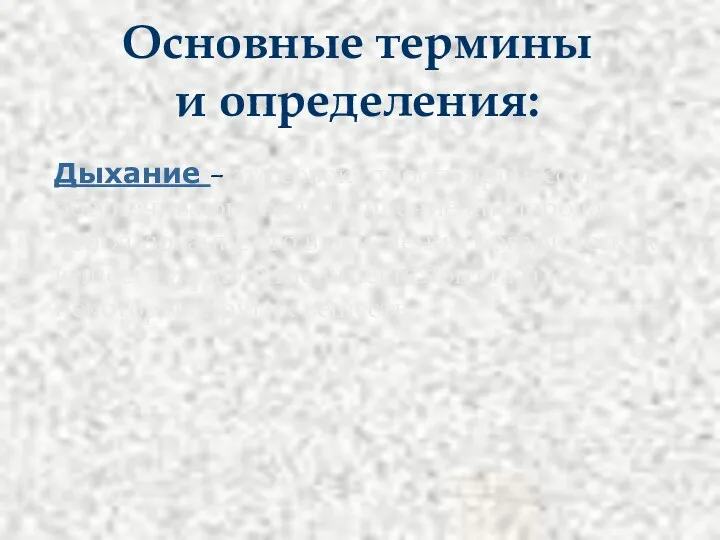 Основные термины и определения: Дыхание – это совокупность процессов, обеспечивающих