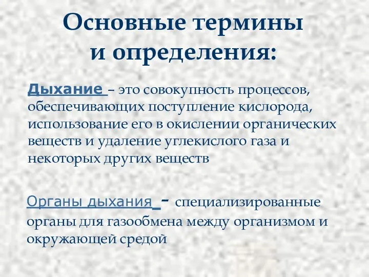 Основные термины и определения: Дыхание – это совокупность процессов, обеспечивающих