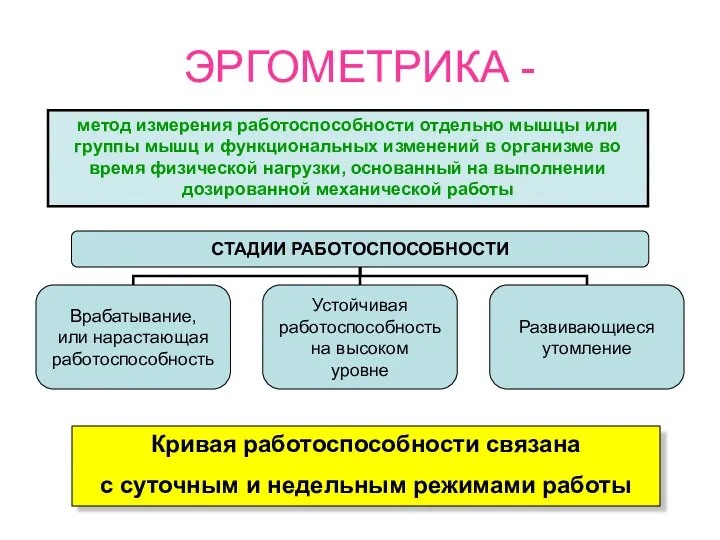 ЭРГОМЕТРИКА - метод измерения работоспособности отдельно мышцы или группы мышц и функциональных изменений