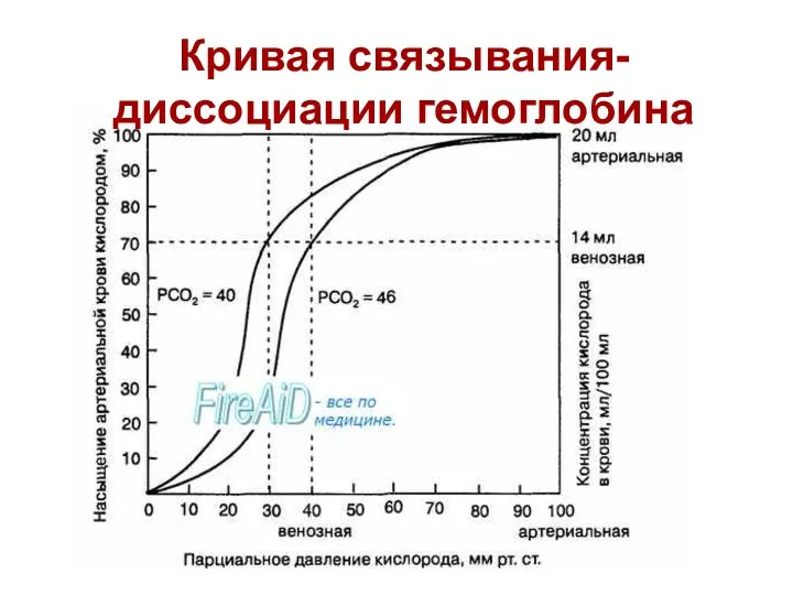 Кривая связывания- диссоциации гемоглобина