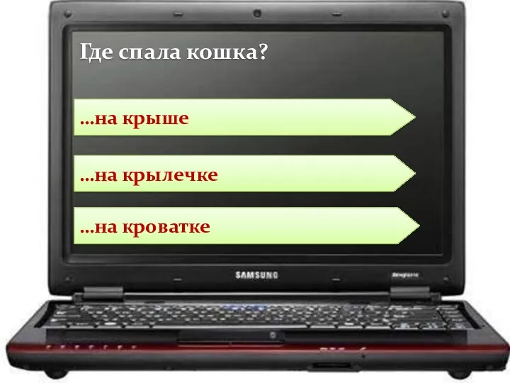 …на крылечке …на кроватке …на крыше Где спала кошка?