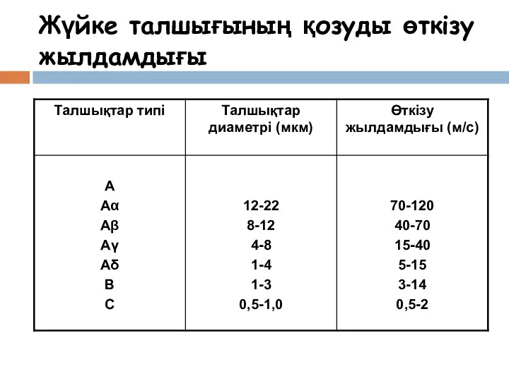 Жүйке талшығының қозуды өткізу жылдамдығы