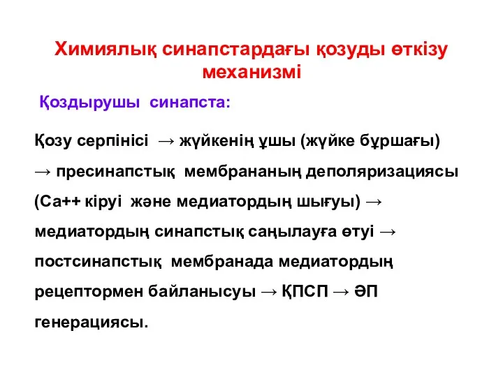 Химиялық синапстардағы қозуды өткізу механизмі Қоздырушы синапста: Қозу серпінісі →