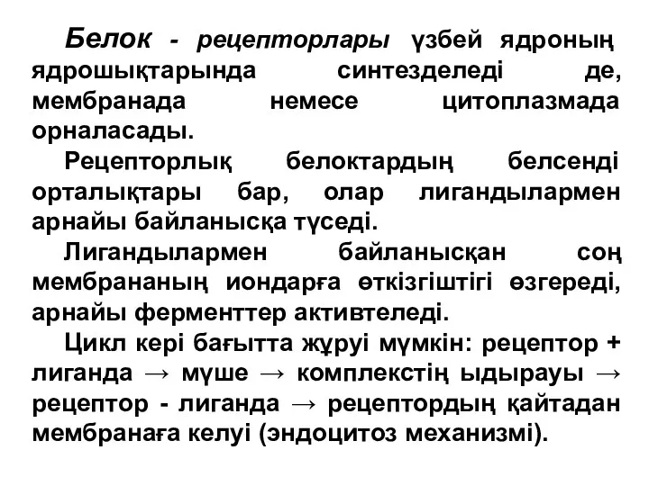 Белок - рецепторлары үзбей ядроның ядрошықтарында синтезделеді де, мембранада немесе