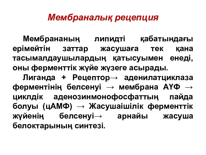 Мембраналық рецепция Мембрананың липидті қабатындағы ерімейтін заттар жасушаға тек қана