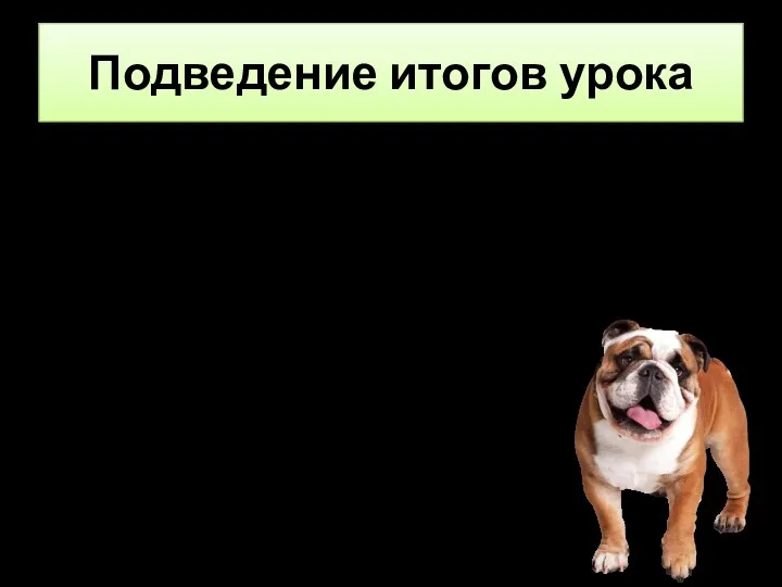 Подведение итогов урока — Какой раздел мы начали изучать на