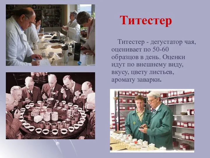 Титестер Титестер - дегустатор чая, оценивает по 50-60 образцов в день. Оценки идут