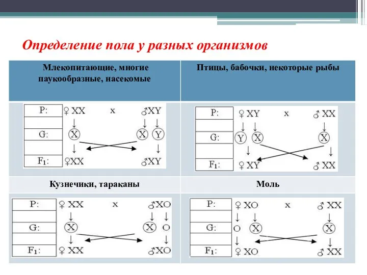 Определение пола у разных организмов