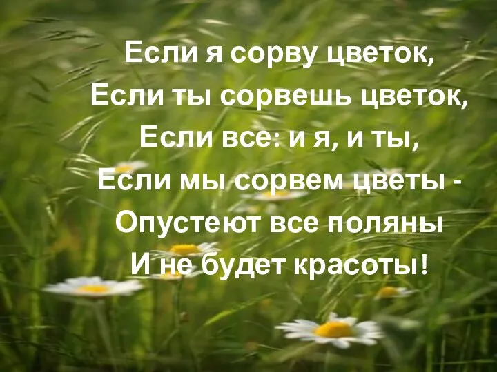 Если я сорву цветок, Если ты сорвешь цветок, Если все: и я, и